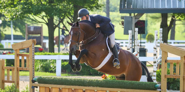 Christopher Payne, Gratitude, Photo by Libby Greene-5