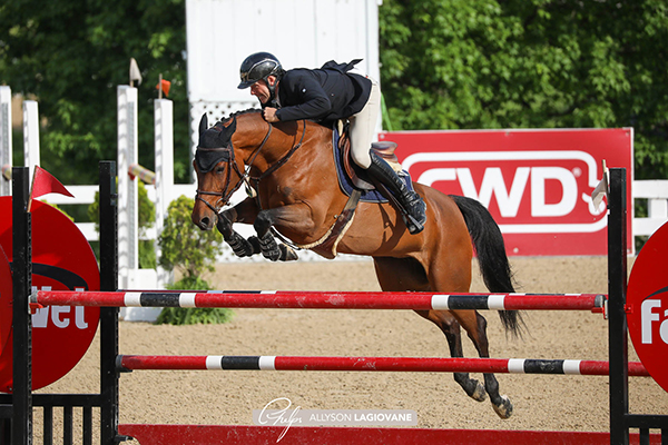 featured Söhnke Theymann and Henrietta