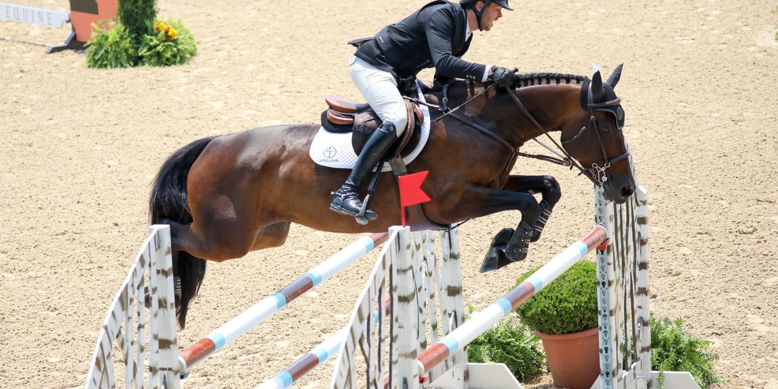 Cormac Hanley and Elegance De Pessel