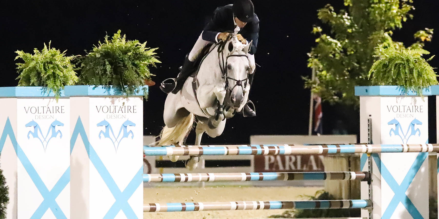 Daniel Geitner and Fazous