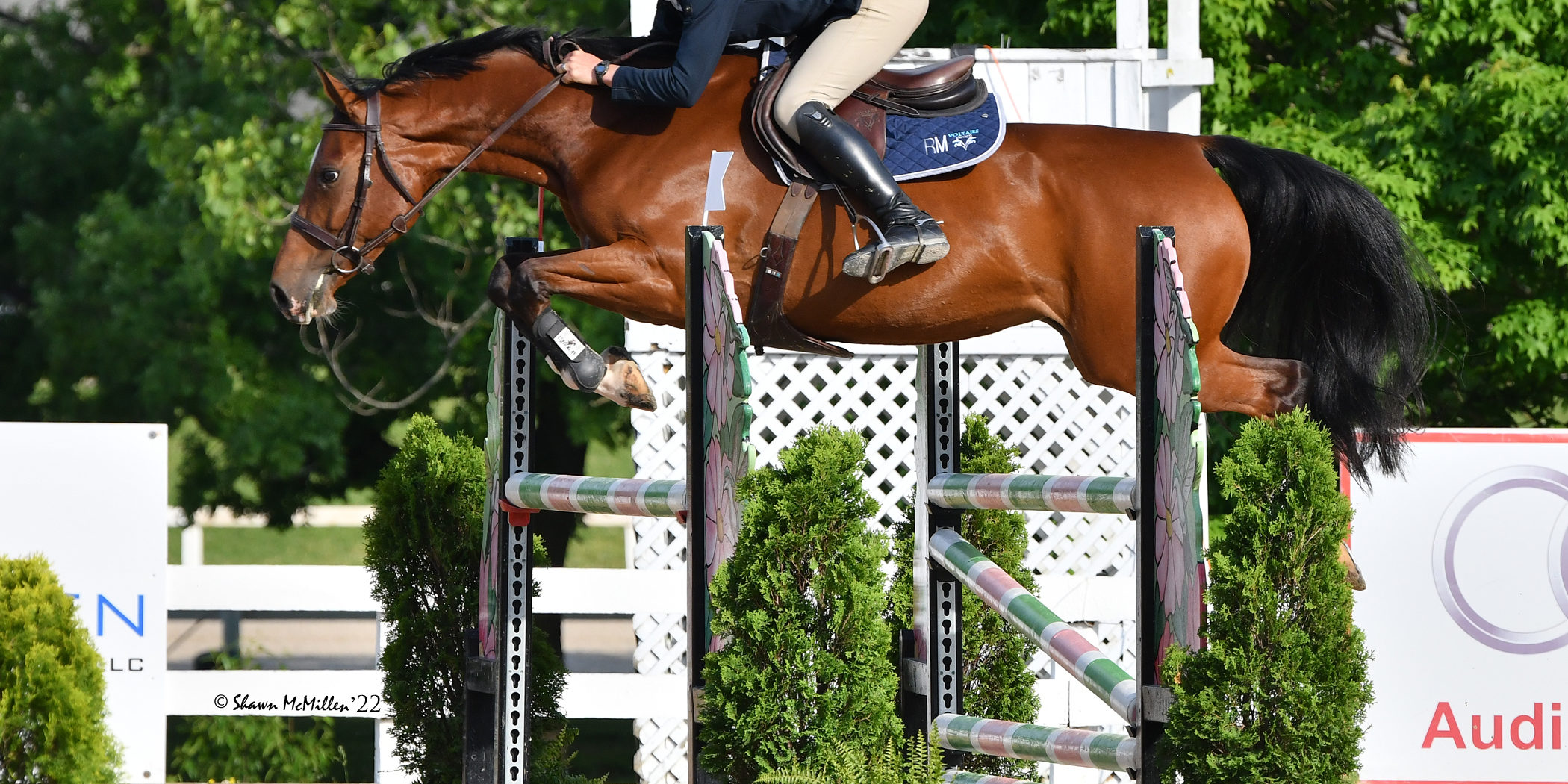 Robert Mendoza and Queen B Win 6YearOld Jumper at Kentucky Spring