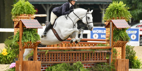 600×400 PS Template (3)