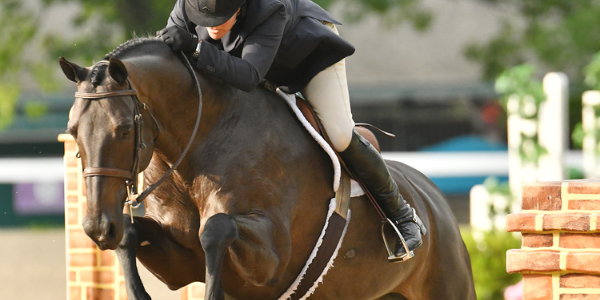 600×400 PS Template (5)