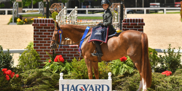 PS Feature Image (11)