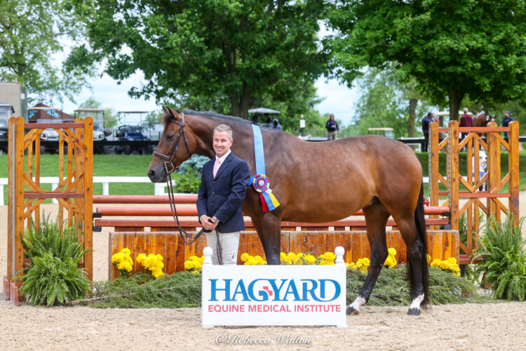 Chris Payne, Ivy, KHS 2024