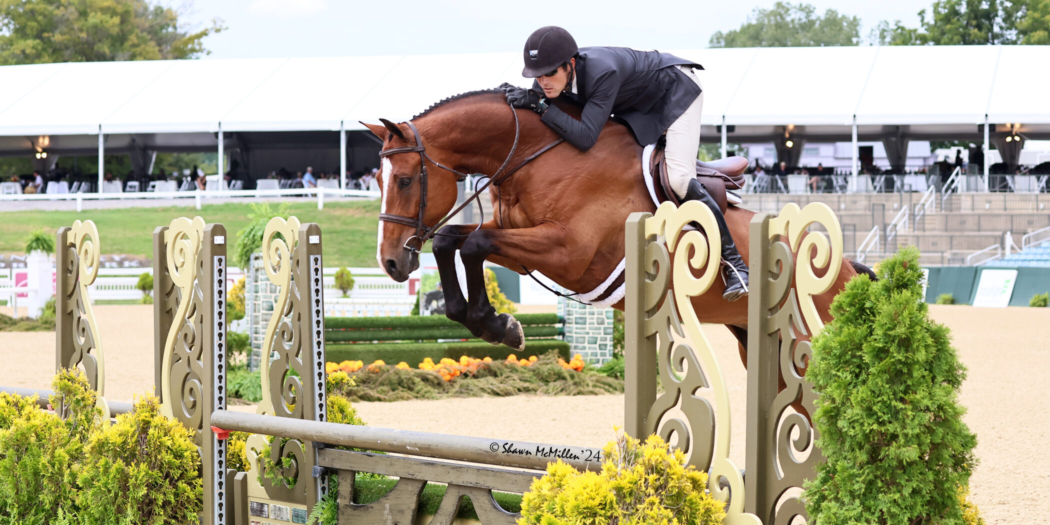 GRE_5833Estero_front