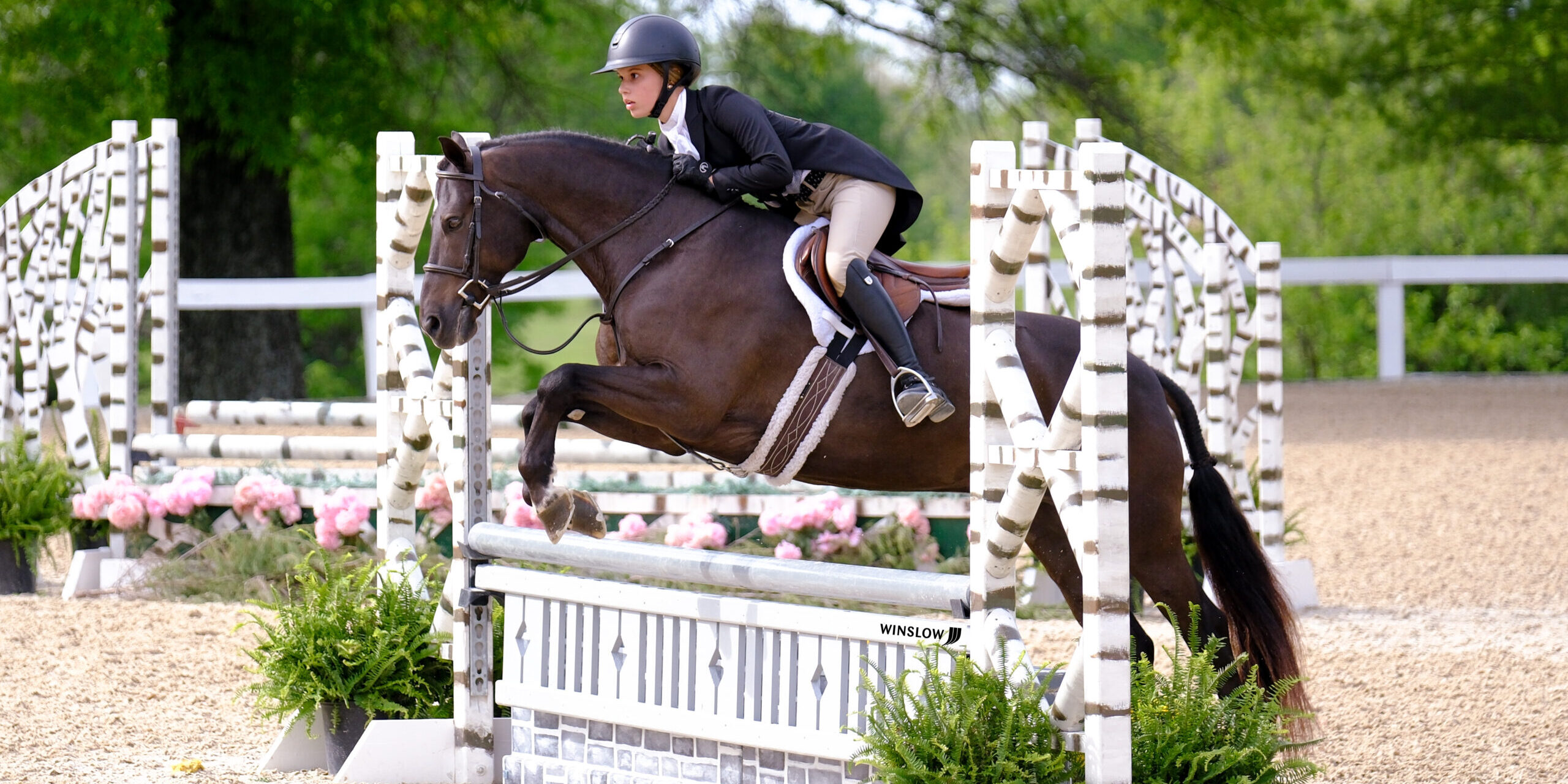 Lost Boy and Dakota Zehler Top $1,500 USHJA Pony Hunter