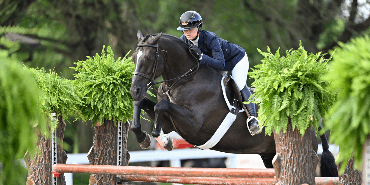 250724_SZ9_2252 copy Large_front2