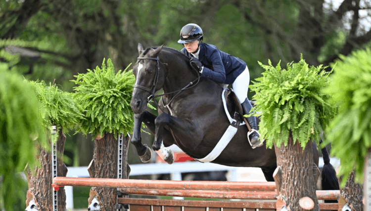 250724_SZ9_2252 copy Large_front2