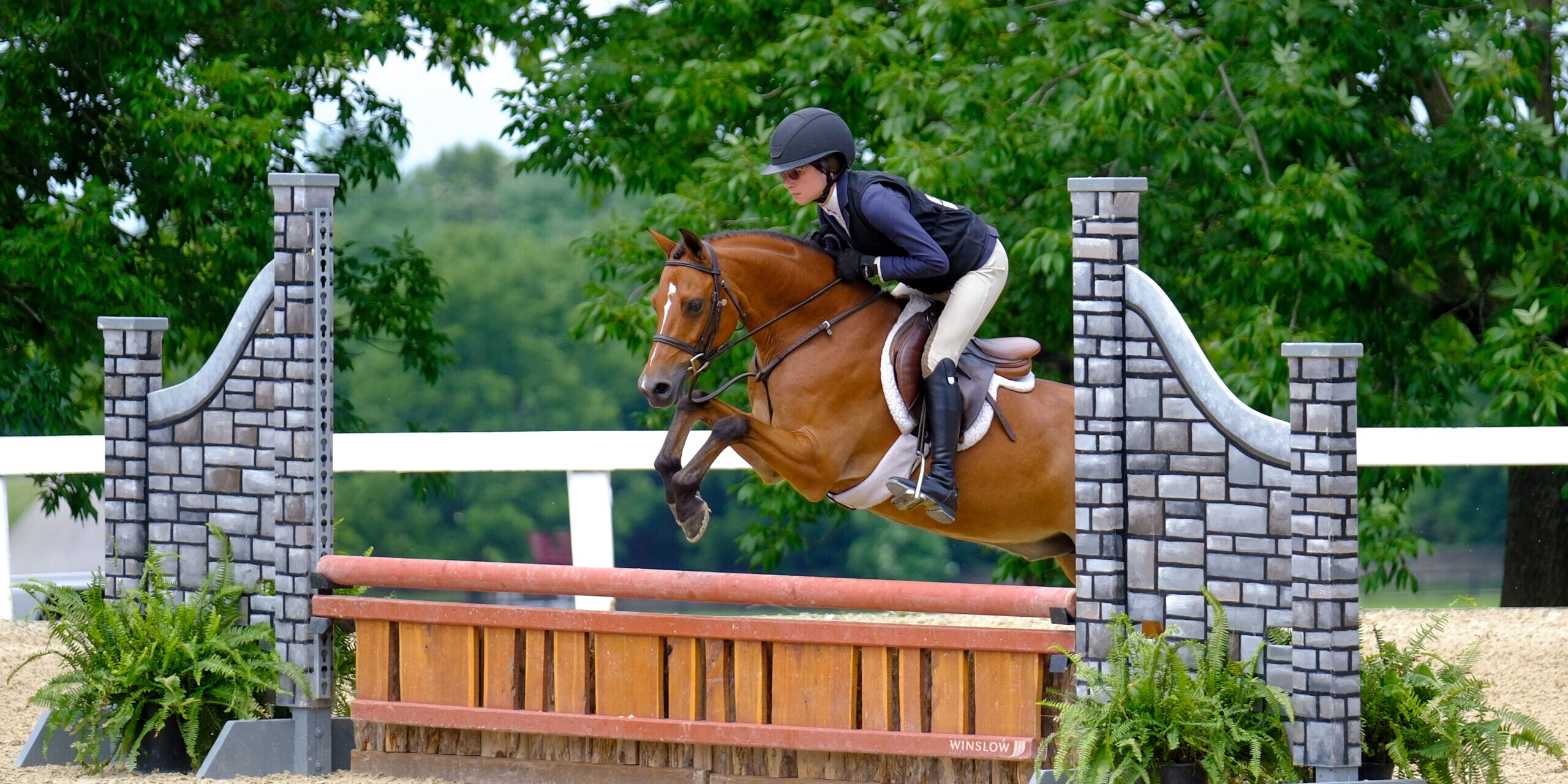 250803_XH2X7923 copy